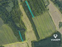 Prodej podílu lesa, Bojkovice, 2789 m2