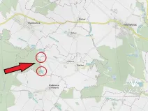 Prodej lesa, Bačice, 8463 m2