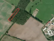 Prodej podílu lesa, Živanice, 3988 m2