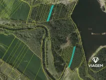 Prodej podílu lesa, Drahov, 3880 m2