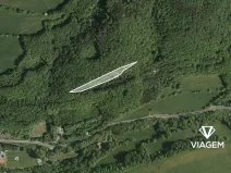 Prodej lesa, Bratřejov, 4091 m2