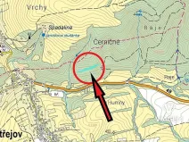 Prodej lesa, Bratřejov, 4091 m2