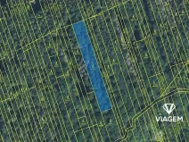 Prodej podílu lesa, Kněždub, 3060 m2