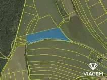 Prodej podílu pole, Velenov, 2564 m2