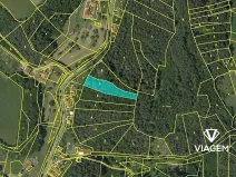 Prodej lesa, Letovice, 2436 m2