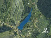 Prodej podílu lesa, Košíky, 6802 m2