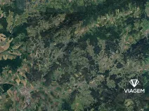 Prodej podílu lesa, Luhačovice, 8215 m2