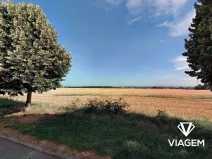 Prodej podílu pole, Praha - Cholupice, 3413 m2