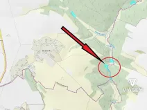 Prodej lesa, Zbizuby, 6015 m2