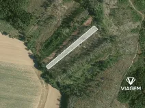 Prodej podílu lesa, Děkanovice, 948 m2