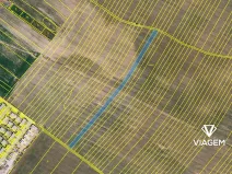 Prodej podílu pole, Kuchařovice, 898 m2