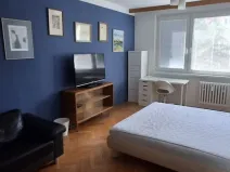 Pronájem atypického bytu, Olomouc, Čajkovského, 20 m2