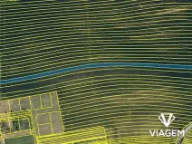 Prodej podílu pole, Archlebov, 1772 m2