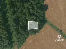 Prodej lesa, Malinová, 233 m2