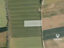 Prodej pole, Kostelec nad Černými lesy, 10245 m2