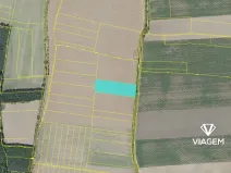 Prodej pole, Kostelec nad Černými lesy, 10245 m2