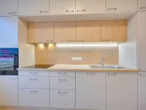 Pronájem bytu 2+1, Olomouc, Božetěchova, 65 m2