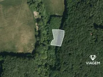 Prodej podílu lesa, Žlutava, 2234 m2