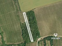 Prodej podílu zahrady, Bzenec, 679 m2