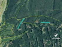 Prodej podílu lesa, Líšťany, 2059 m2