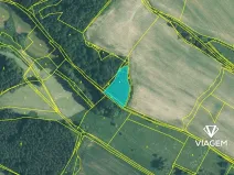 Prodej podílu lesa, Líšťany, 2059 m2