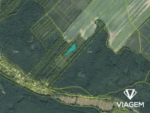 Prodej lesa, Horní Lhota, 11423 m2