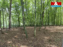 Prodej zahrady, Kostelec nad Černými lesy, Svatbínská, 10316 m2