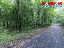 Prodej zahrady, Kostelec nad Černými lesy, Svatbínská, 10316 m2