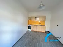 Pronájem bytu 1+1, Děčín, Škroupova, 44 m2