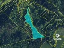 Prodej podílu lesa, Poniklá, 3846 m2