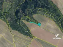 Prodej podílu lesa, Kokořín, 1843 m2