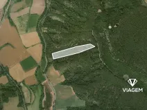 Prodej podílu lesa, Hřivice, 5452 m2