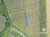 Prodej podílu pole, Boršice, 262 m2