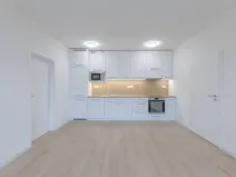 Pronájem bytu 2+kk, Olomouc, Aloise Rašína, 55 m2