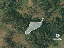 Prodej podílu lesa, Petráveč, 609 m2