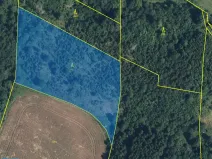 Prodej lesa, Horní Olešnice, 7037 m2