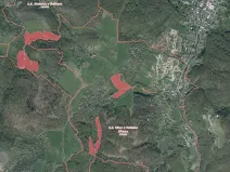 Prodej louky, Velké Březno, 40496 m2