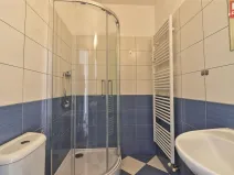 Pronájem bytu 1+kk, Olomouc, Zeyerova, 19 m2