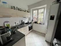 Pronájem bytu 3+1, Liberec, Wintrova, 65 m2