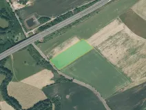 Prodej pole, Starý Plzenec, 15395 m2