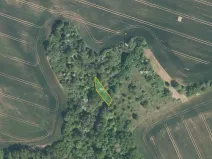 Prodej pole, Jalubí, 7416 m2