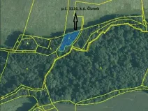 Prodej lesa, Člunek, 1493 m2