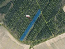 Dražba lesa, Komárov, 5902 m2