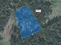 Dražba lesa, Horní Lomná, 6298 m2