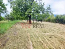 Prodej pozemku pro bydlení, Omice, 988 m2