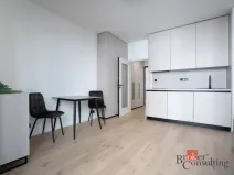 Pronájem bytu 1+kk, Praha - Vršovice, Krymská, 25 m2