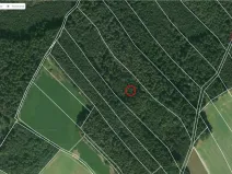 Prodej lesa, Zábřezí-Řečice, 18846 m2