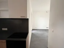 Pronájem bytu 1+kk, Znojmo, Třešňová, 21 m2