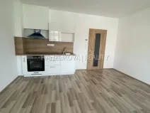 Pronájem bytu 1+kk, České Budějovice, 33 m2