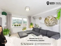 Prodej bytu 1+1, Letovice, Brahmsova, 52 m2
